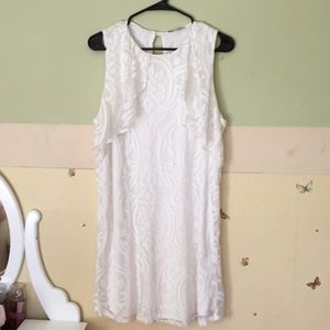 Lace Chiffon Dress